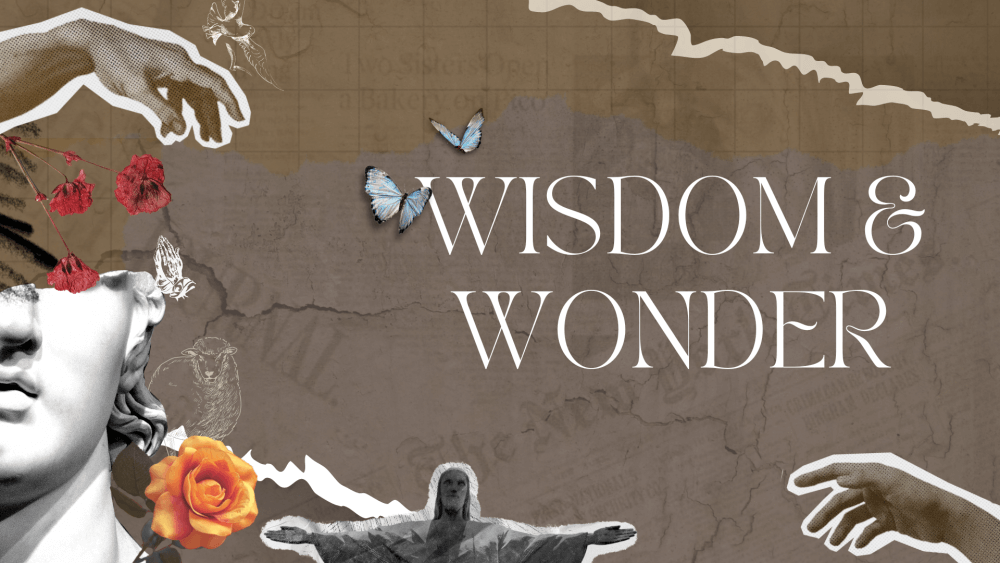 Sabiduría y asombro